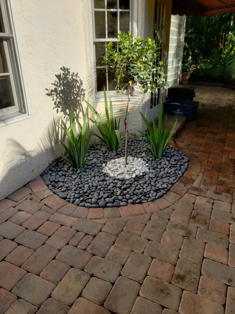 Professional lawn mowing service in Largo, FL by Acclimate Arbor Care