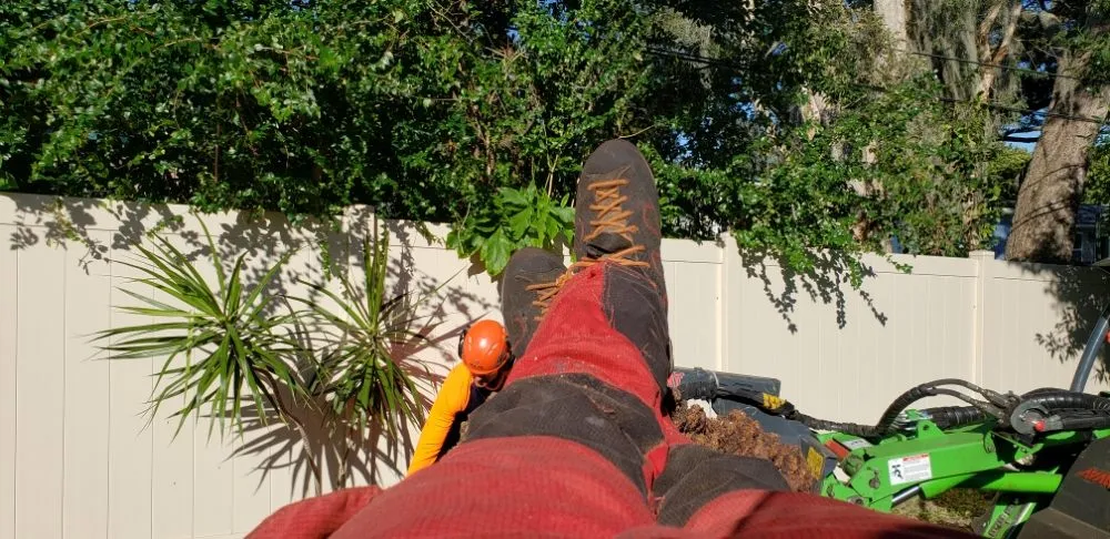 Expert yard maintenance for outdoor upgrades across Largo, FL - Acclimate Arbor Care