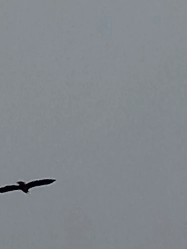 Expert landscape installation experts serving Delta, CO - Accomplished Ones