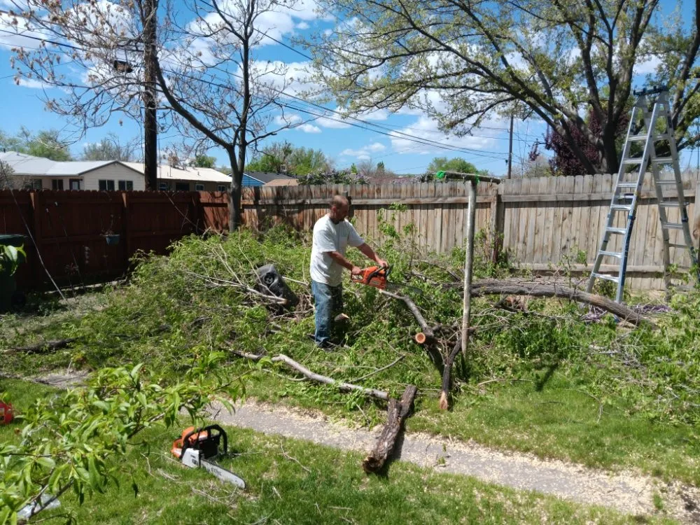 Affordable landscaping services near you in Delta, CO by Accomplished Ones