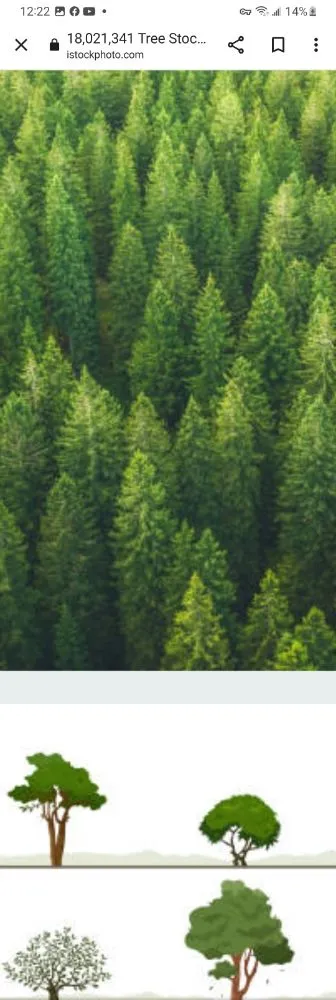 Trusted residential landscaping for residential properties in Delta, CO by Accomplished Ones