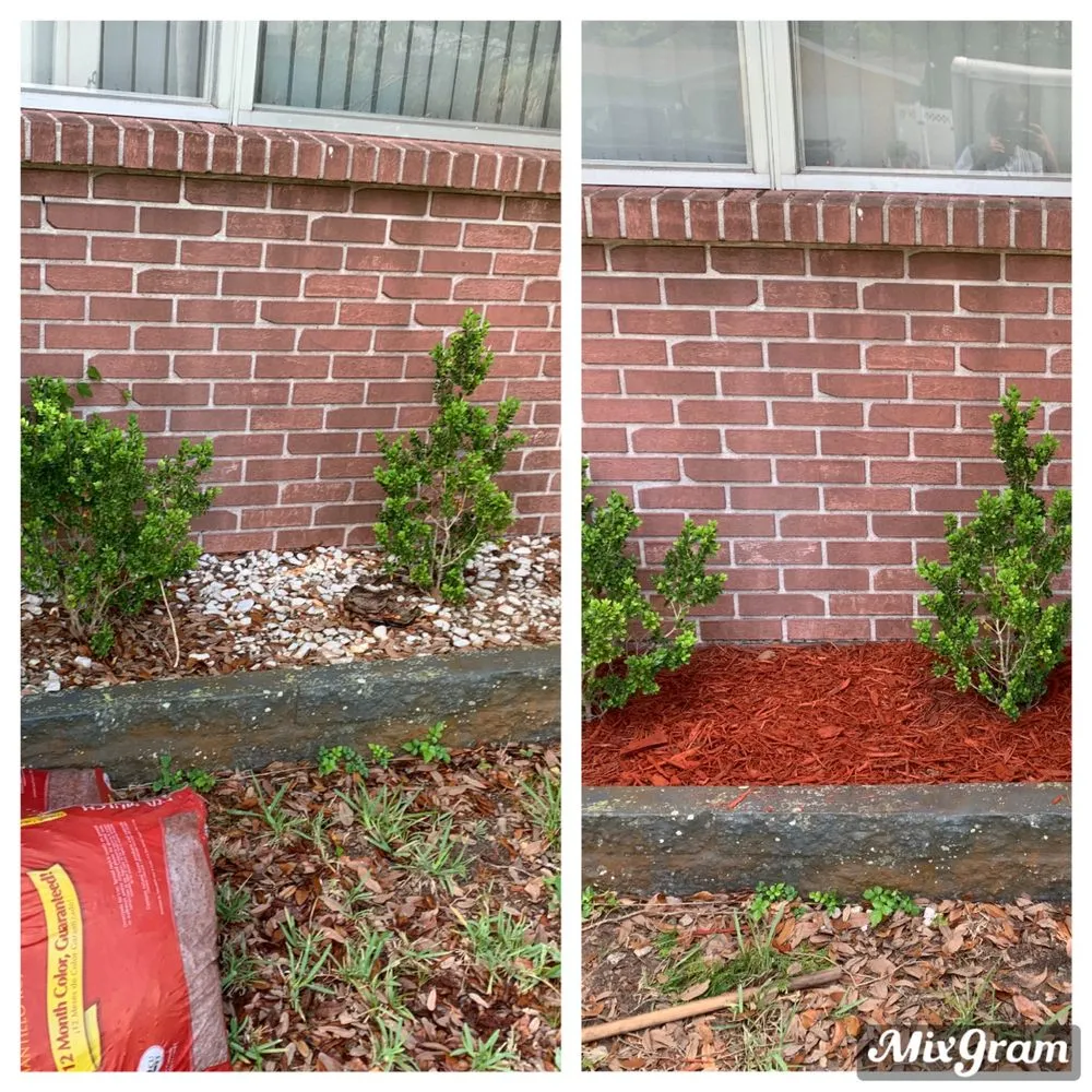 Local yard cleanup service in Dunedin, FL - Accu-cut Lawn and Landscape