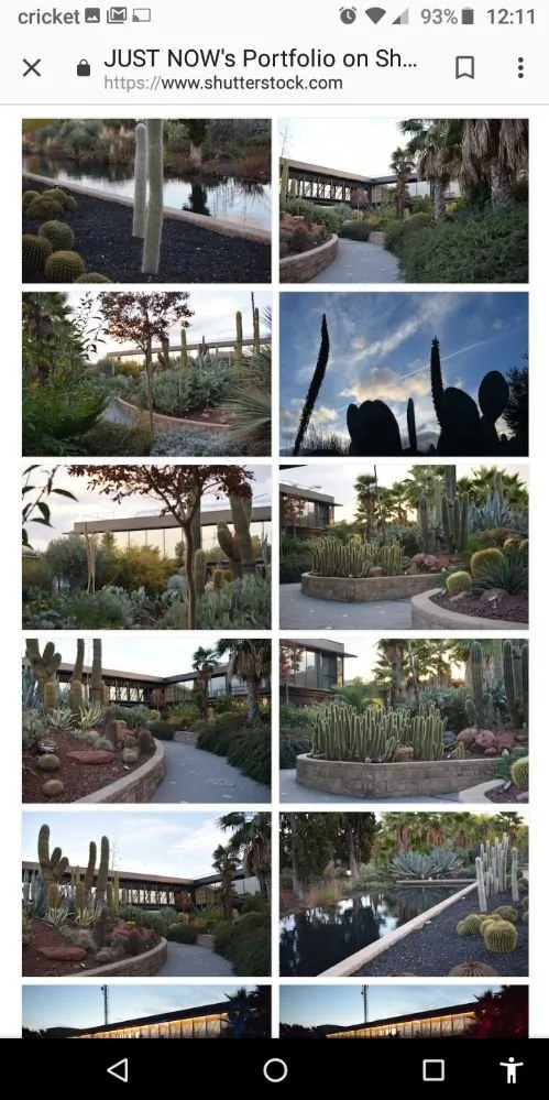 Expert yard cleanup service in Holiday, FL - Accurate Accent Lighting and Landscape