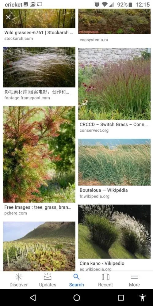 Reliable lawn mowing service in Holiday, FL by Accurate Accent Lighting and Landscape