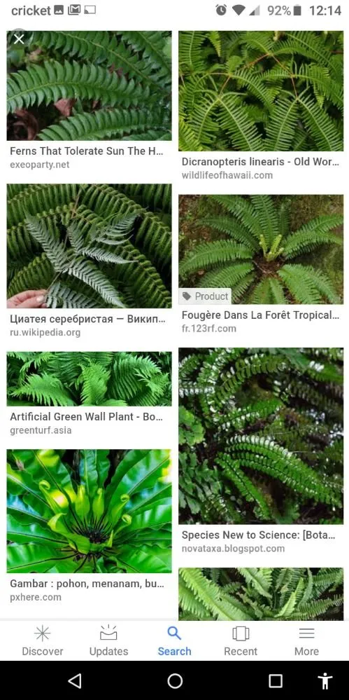 Professional residential landscaping experts serving Holiday, FL - Accurate Accent Lighting and Landscape