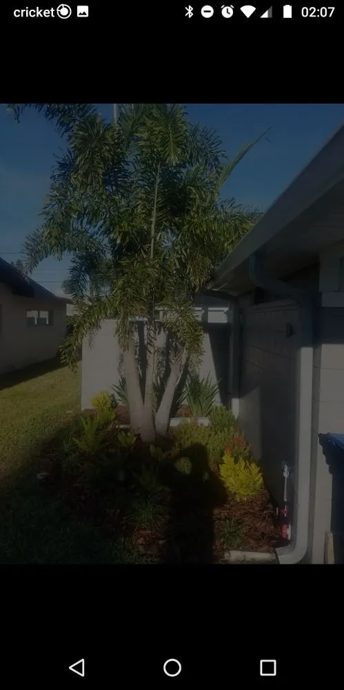 Top-rated lawn care service in Holiday, FL by Accurate Accent Lighting and Landscape