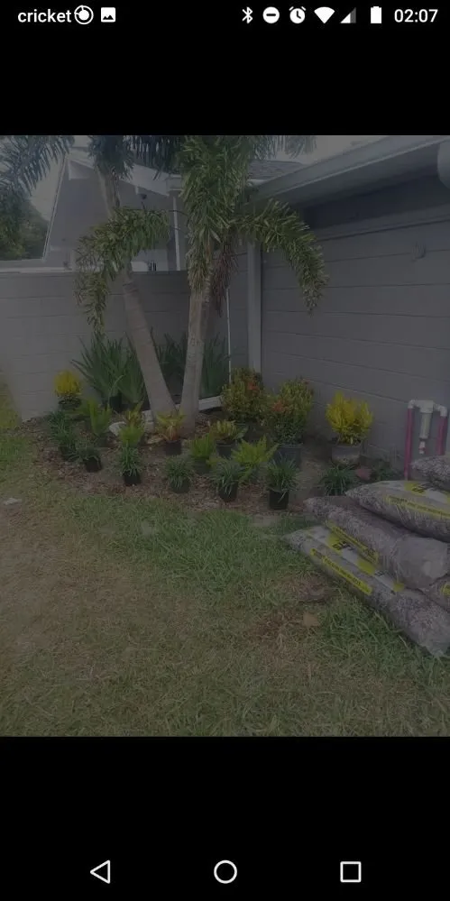 Expert yard cleanup service for outdoor upgrades in Holiday, FL by Accurate Accent Lighting and Landscape