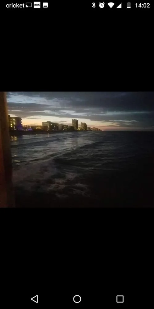 Affordable landscape installation in Holiday, FL by Accurate Accent Lighting and Landscape