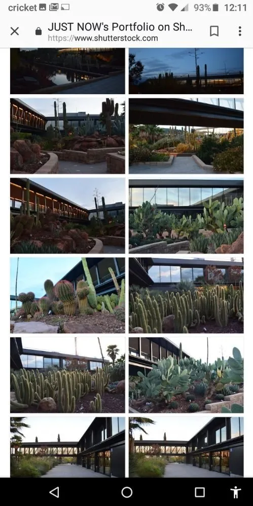 Affordable garden landscaping for beautiful yards across Holiday, FL - Accurate Accent Lighting and Landscape