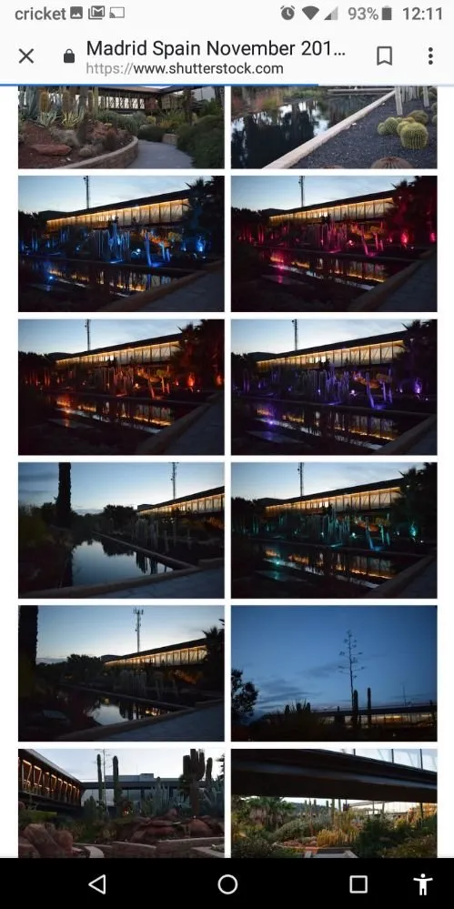 Trusted landscape design experts serving Holiday, FL - Accurate Accent Lighting and Landscape