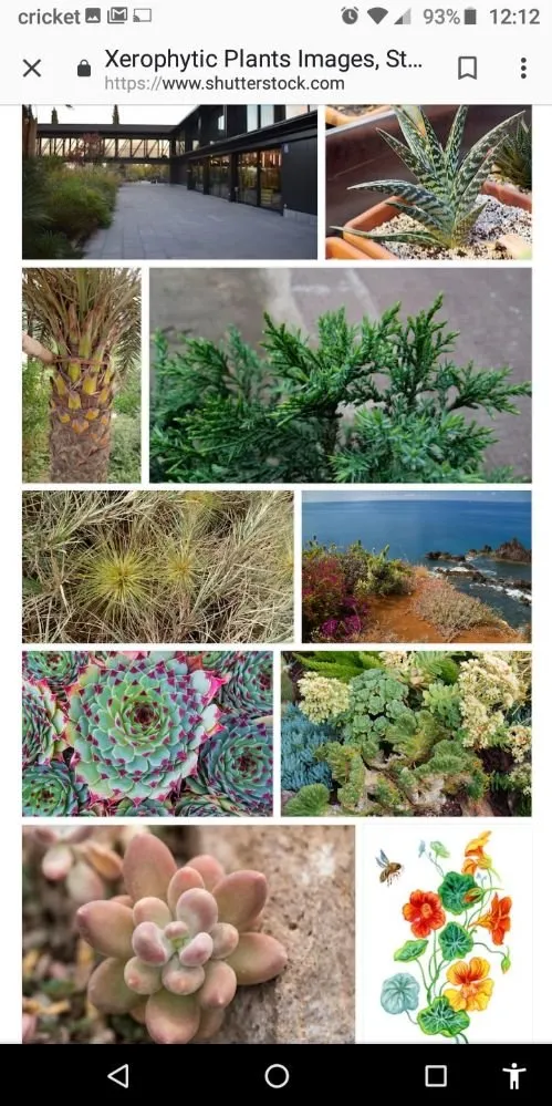 Reliable lawn mowing service in Holiday, FL - Accurate Accent Lighting and Landscape