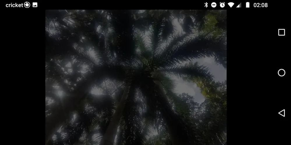 Professional landscaping services experts serving Holiday, FL - Accurate Accent Lighting and Landscape