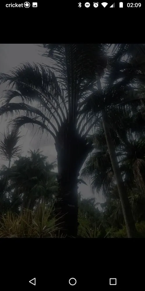 Trusted landscape design for homes in Holiday, FL by Accurate Accent Lighting and Landscape