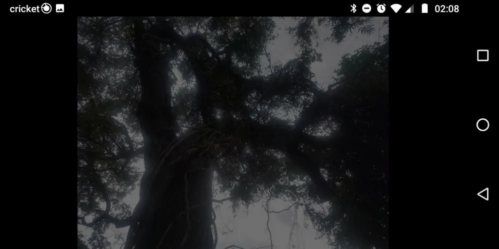 Reliable residential landscaping for year-round maintenance in Holiday, FL by Accurate Accent Lighting and Landscape