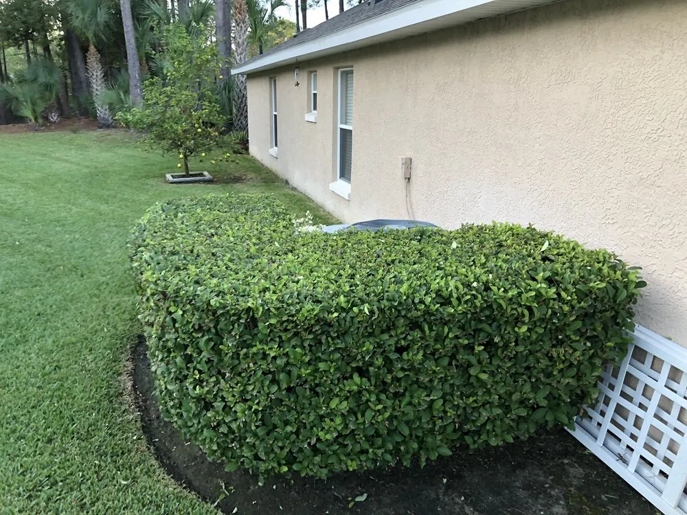 Expert residential landscaping in Daytona Beach, FL - Accurate Cuts Lawn & Landscape