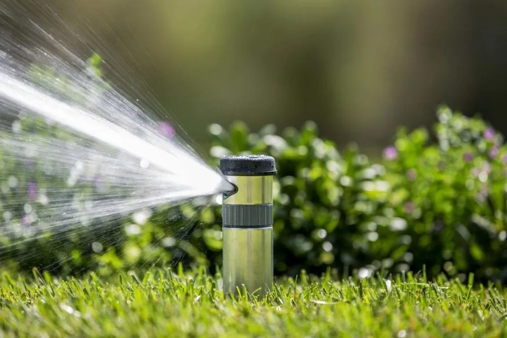 Top-rated landscape design in Kirkland, WA by Accurate Design Company