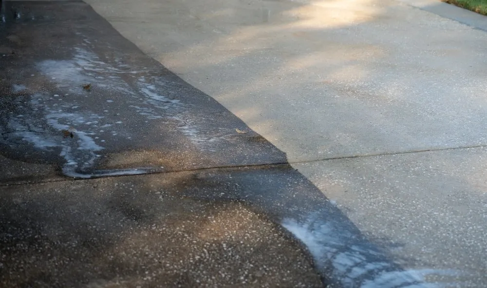 Affordable yard cleanup service experts serving Kirkland, WA - Accurate Design Company