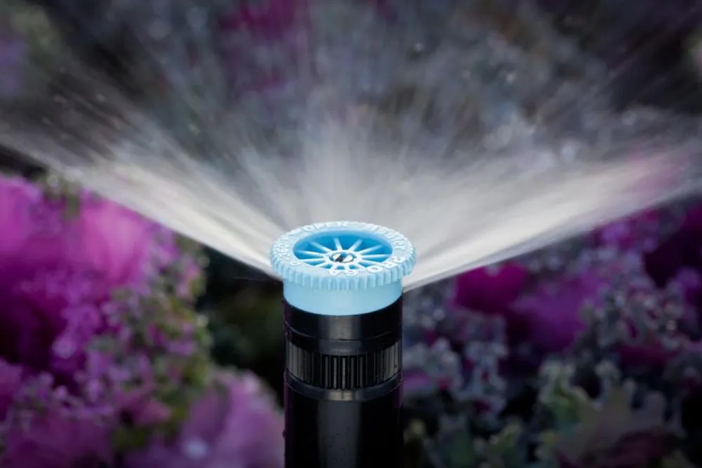 Expert lawn care service for homes across Kirkland, WA - Accurate Design Company