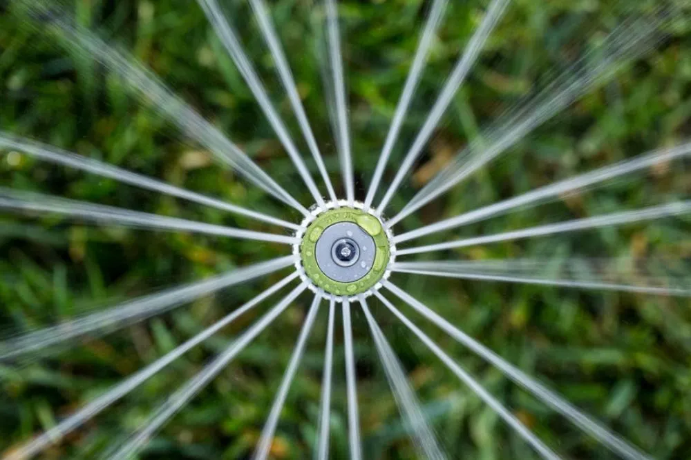 Trusted yard maintenance with custom design in Kirkland, WA by Accurate Design Company