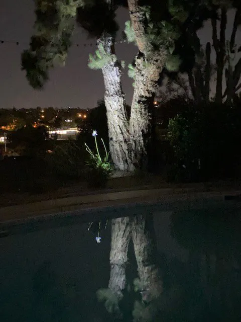 Professional landscaping services for homes in El Cajon, CA by Accurate Irrigation and Lighting Service