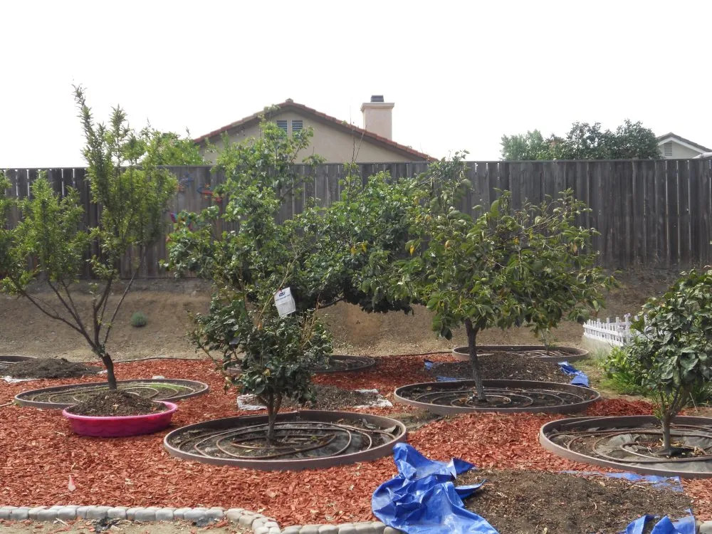 Expert landscaping services near you in El Cajon, CA by Accurate Irrigation and Lighting Service