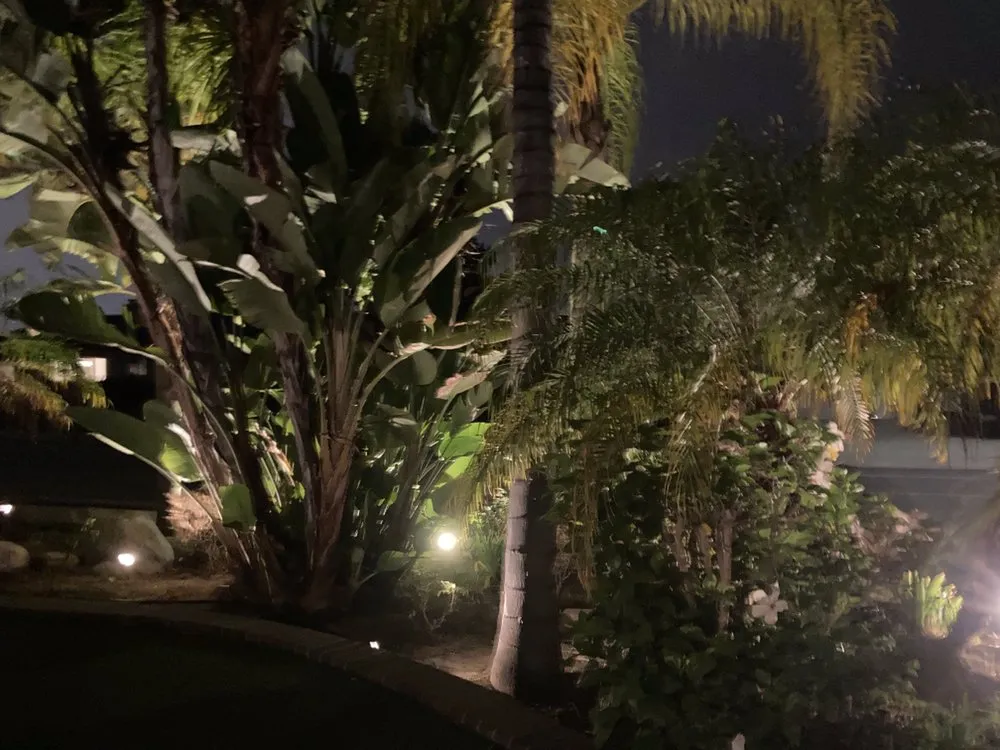 Trusted yard cleanup service for homes across El Cajon, CA - Accurate Irrigation and Lighting Service