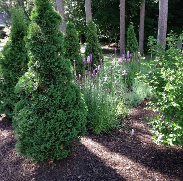 Reliable landscape design for year-round maintenance in Manchester, NH by Accurate Landscape & Snow Management