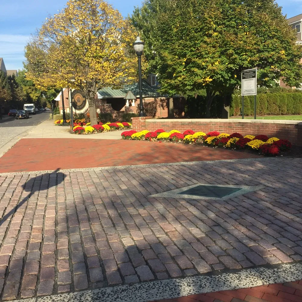 Local outdoor landscaping in Paterson, NJ by Accurate landscape