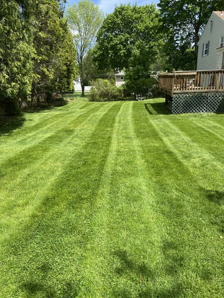 Affordable lawn care service in Paterson, NJ - Accurate landscape