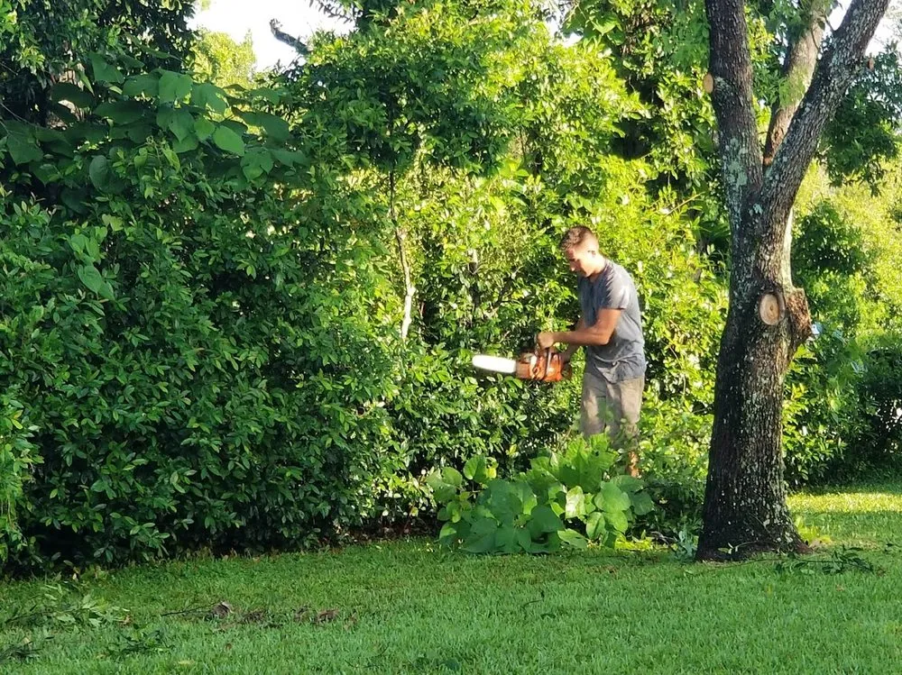 Reliable landscaping services in Cocoa, FL by Accurate Landscaping & Tree Service