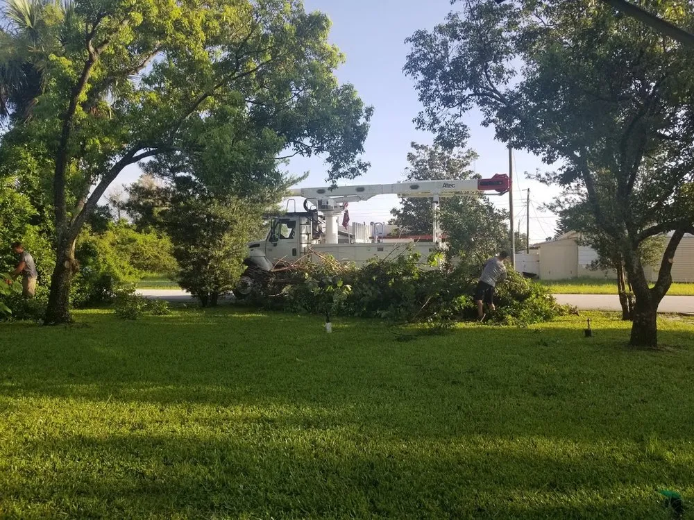 Expert outdoor landscaping near you in Cocoa, FL by Accurate Landscaping & Tree Service