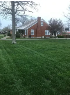 Reliable yard cleanup service in Louisville, KY - Accurate Lawn & Landscaping