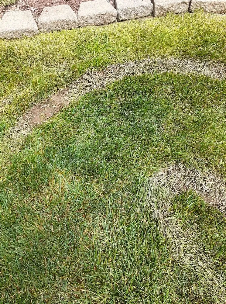 Affordable yard cleanup service experts serving Louisville, KY - Accurate Lawn & Landscaping