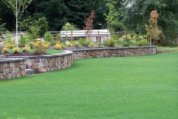 Affordable landscaping services for year-round maintenance in Houston, TX by Accurate Lawn Leveling