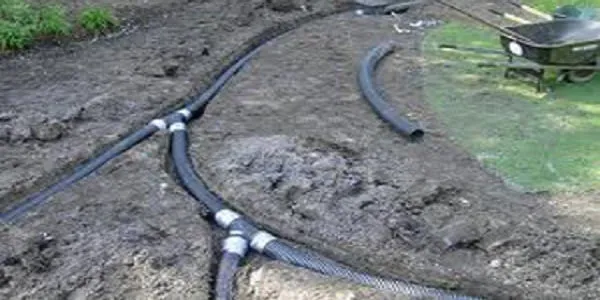 Trusted landscape installation for year-round maintenance in Houston, TX by Accurate Lawn Leveling