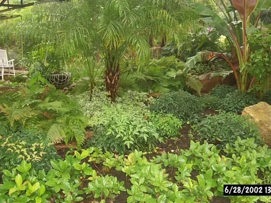 Local landscape design experts serving Houston, TX - Accurate Lawn Leveling