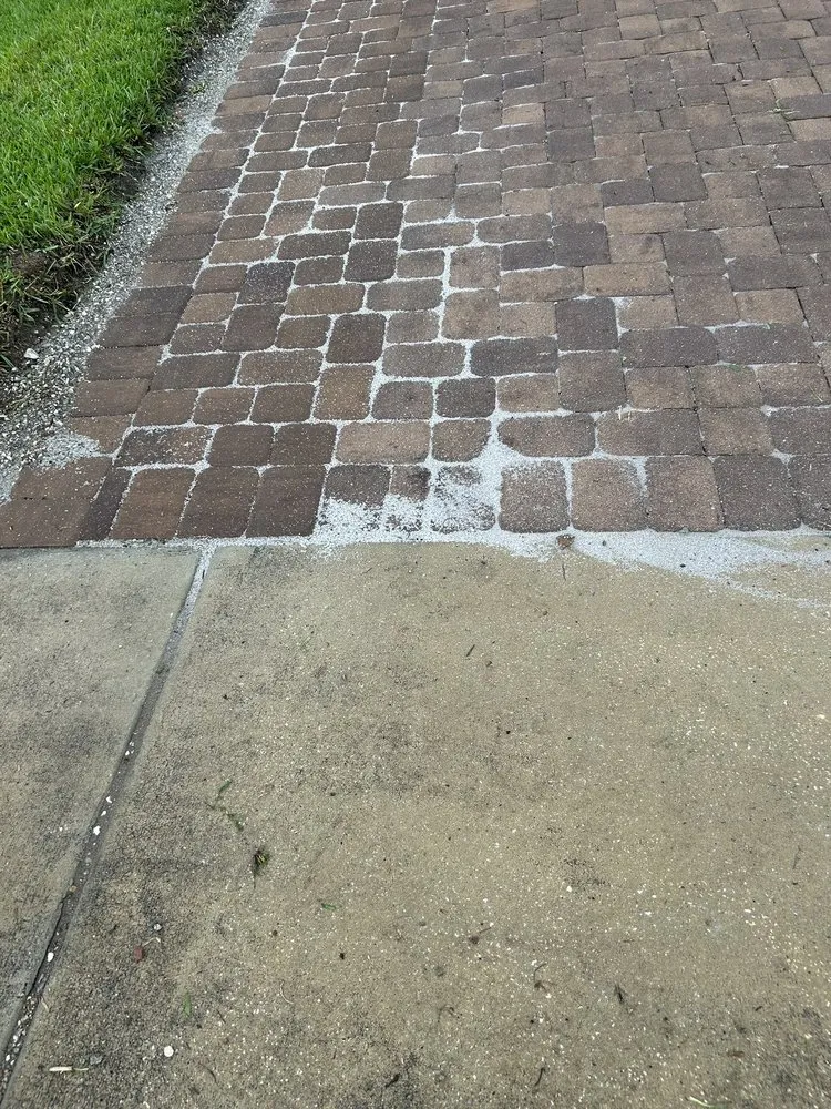Custom yard cleanup service in Apopka, FL - Accurate Pavers & Landscape