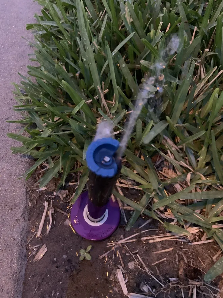 Trusted garden landscaping in Apopka, FL by Accurate Pavers & Landscape