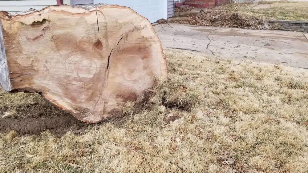 Expert residential landscaping in Saint Charles, MO by Accurate