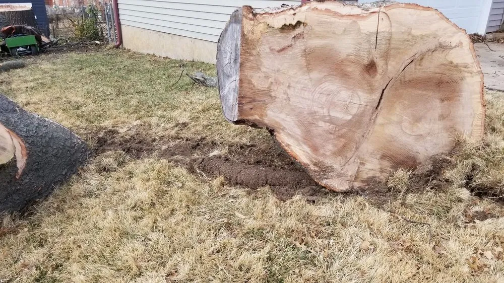 Affordable yard maintenance near you across Saint Charles, MO - Accurate