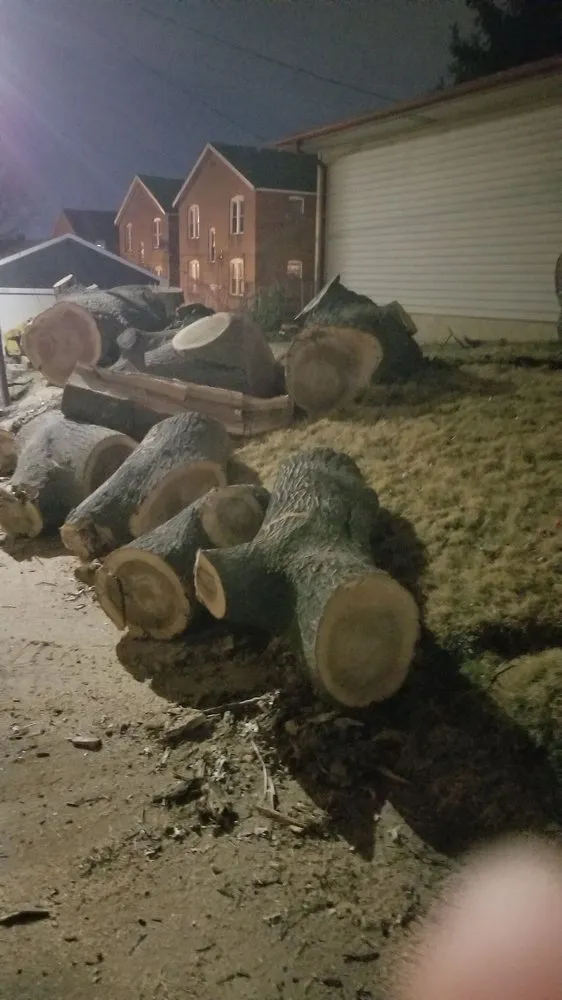 Expert outdoor landscaping near you across Saint Charles, MO - Accurate