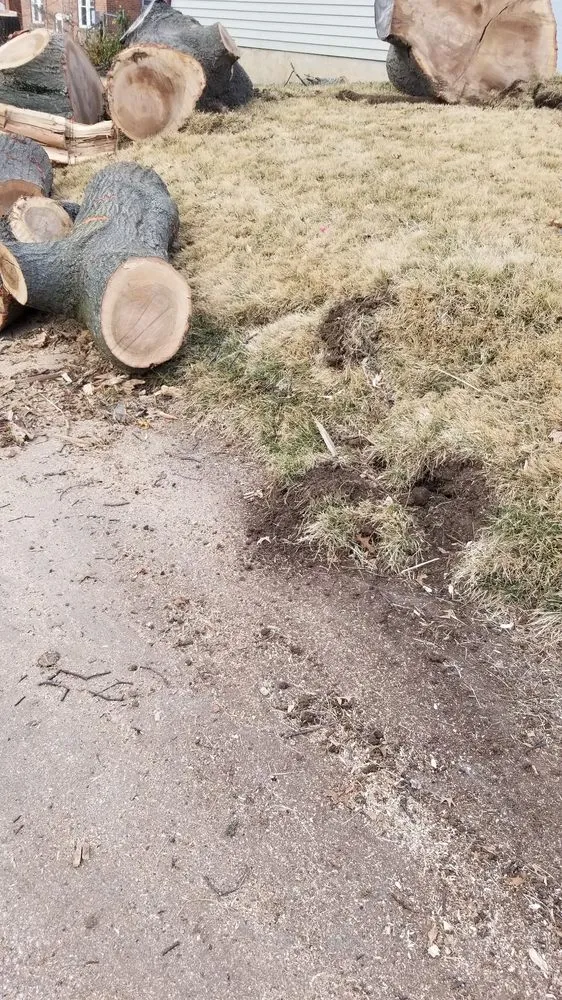 Reliable landscape design in Saint Charles, MO by Accurate