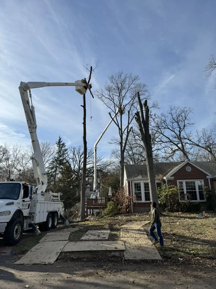 Trusted yard cleanup service in Saint Charles, MO - Accurate