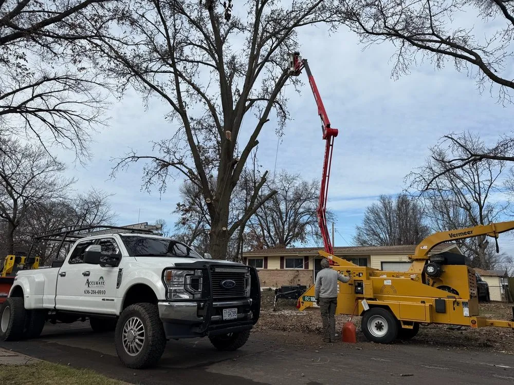 Affordable garden landscaping for outdoor upgrades across Saint Charles, MO - Accurate