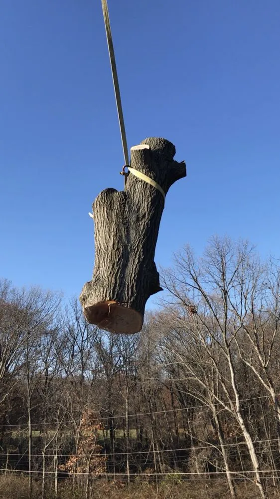 Expert residential landscaping in Saint Charles, MO by Accurate