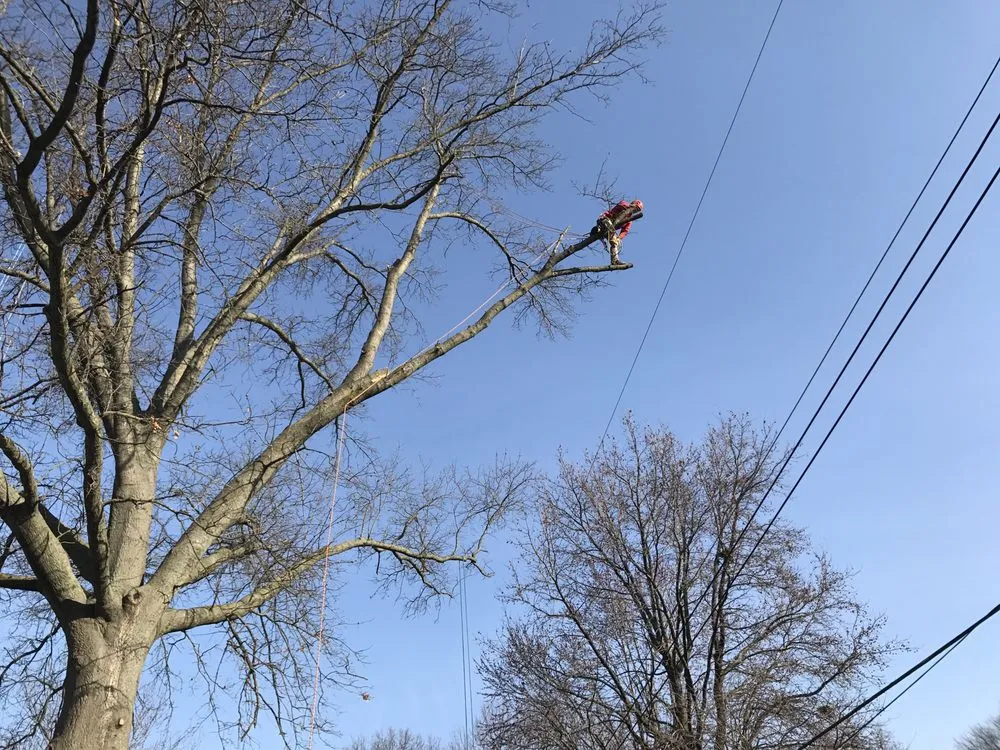 Affordable garden landscaping for residential properties in Saint Charles, MO by Accurate