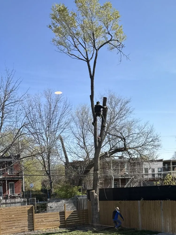 Professional outdoor landscaping experts serving Saint Charles, MO - Accurate