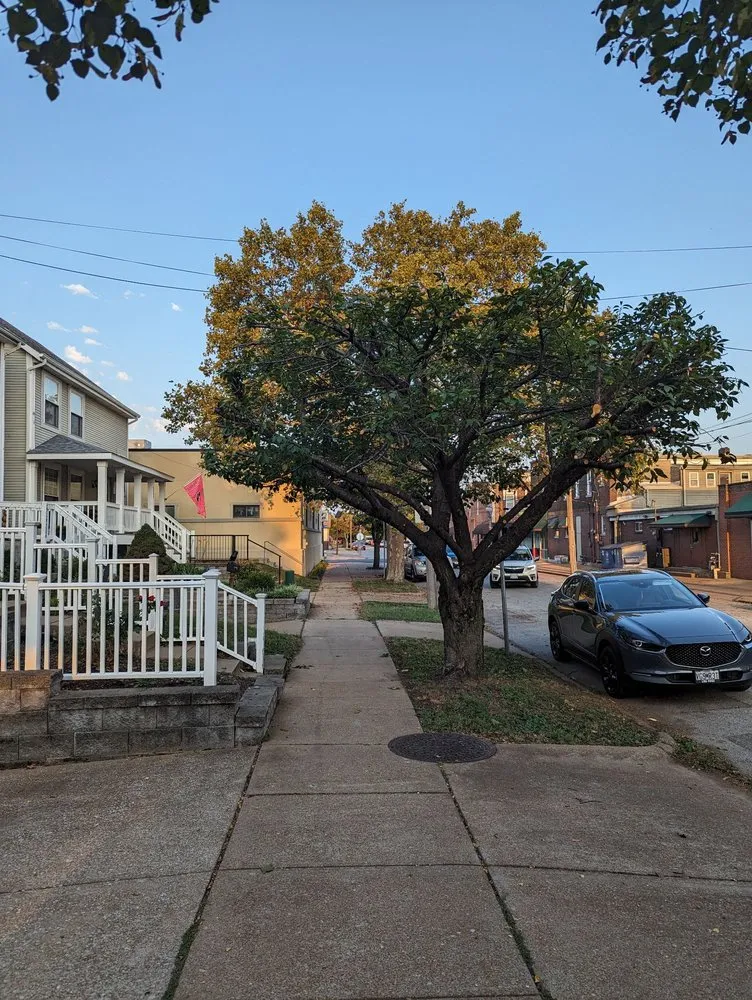 Affordable landscape design in Saint Charles, MO by Accurate