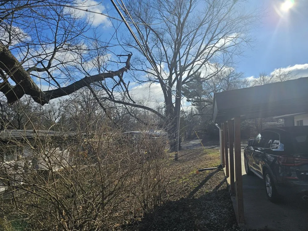 Expert outdoor landscaping for residential properties in Saint Charles, MO by Accurate