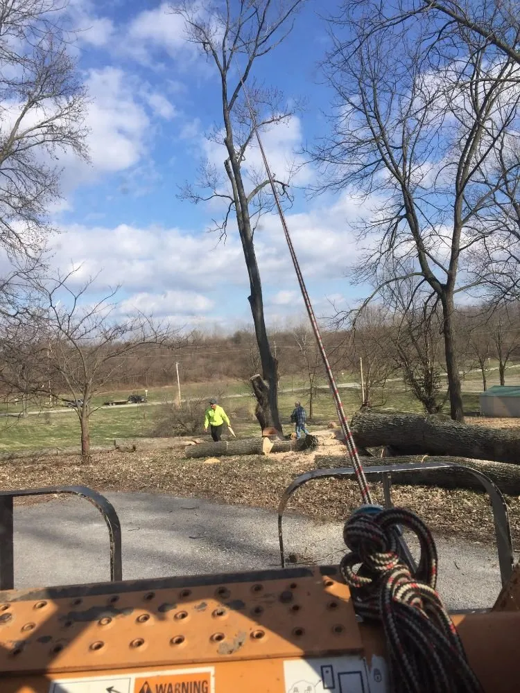 Expert landscape installation experts serving Ferguson, MO - Accurate Tree and Landscaping